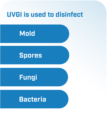 Illustration of the types of mold UVGI can disinfect-1